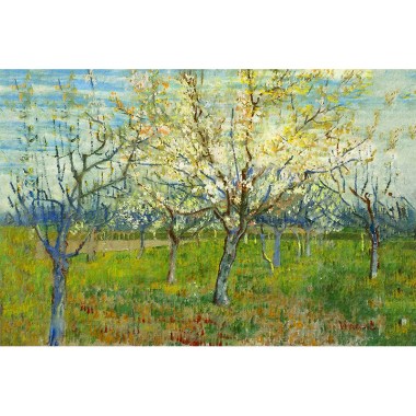 Orchard with Blossoming Apricot Trees - Van Gogh